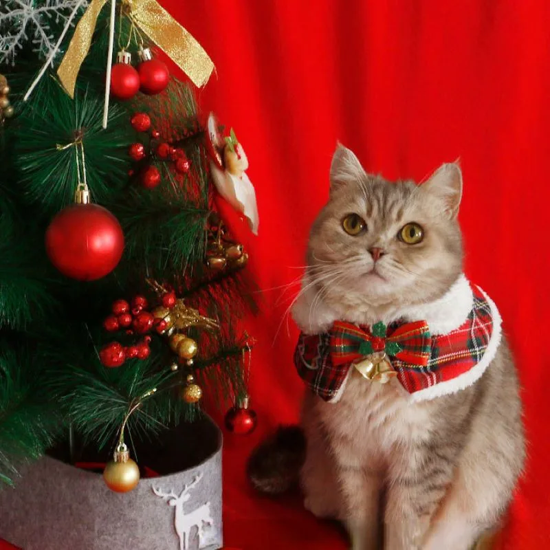 Winter Clothing Accessories - Mantello natalizio per gatti Pet Capodanno